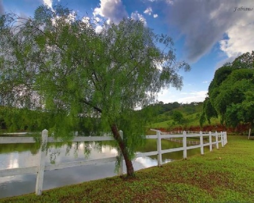 g_amargosa-ba-img_20190402_184038_053