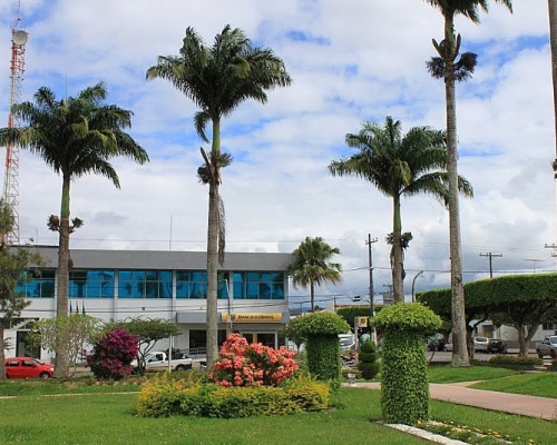 g_amargosa-ba-palmeiras-imperiais-na-praca-central-fotomarcelo-s-f