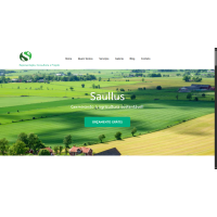 Site - Representação Site - Representação